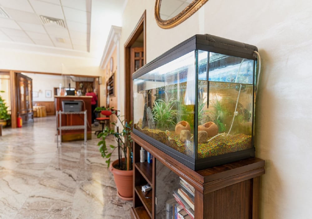 Villa Delle Rose afbeelding