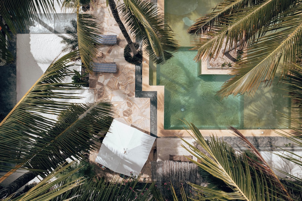 Sahari Zanzibar