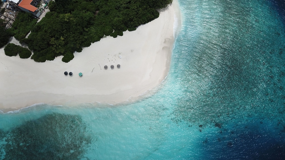 SeaLaVie Inn – SeaLaVie Inn in Maldiven