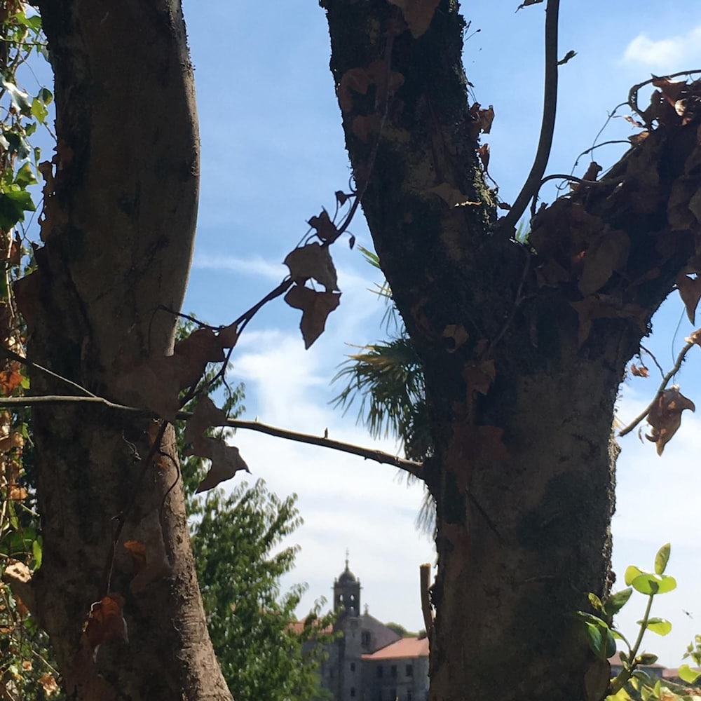 Pensión O Xardin de Julia.