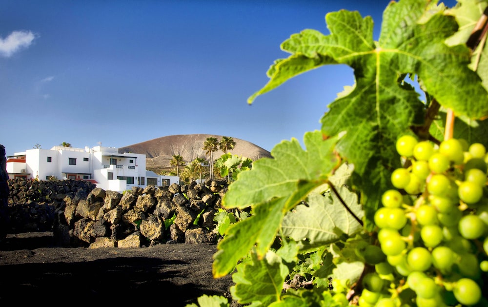 Hotel Rural Finca de la Florida.