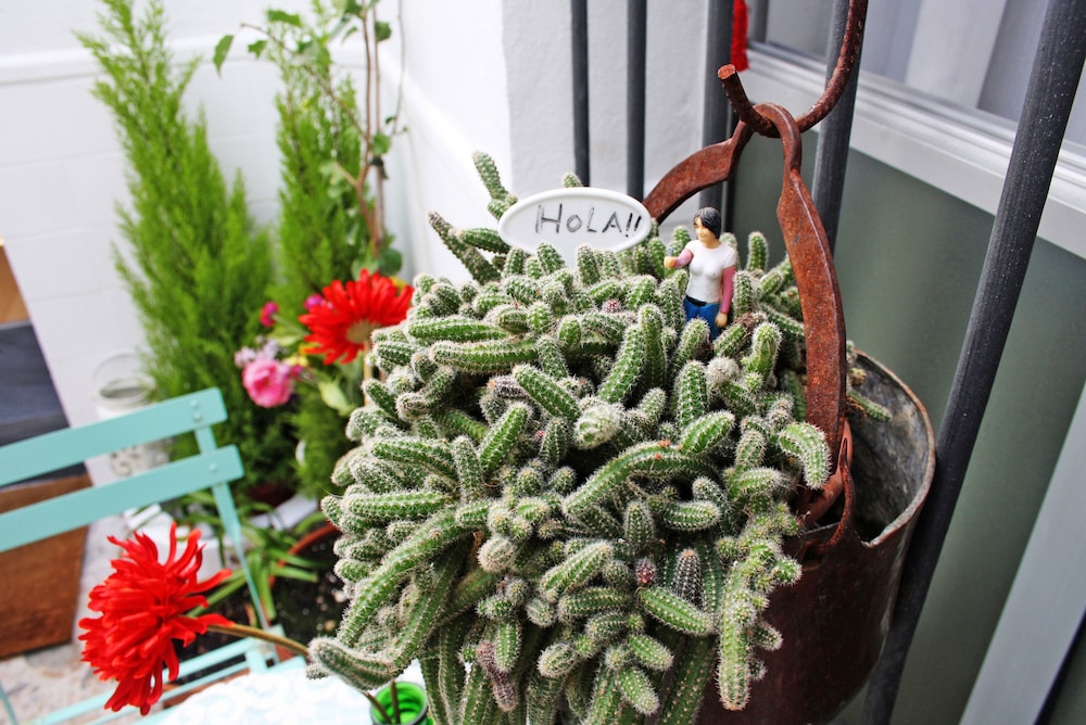 Casa de Huéspedes Santa María - Adults Only