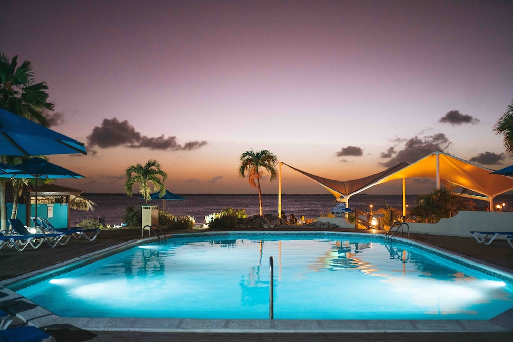 Captain Don's Habitat.