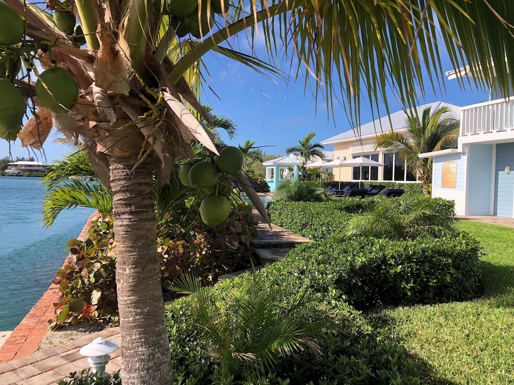 Dolphin Cove - Adults Only