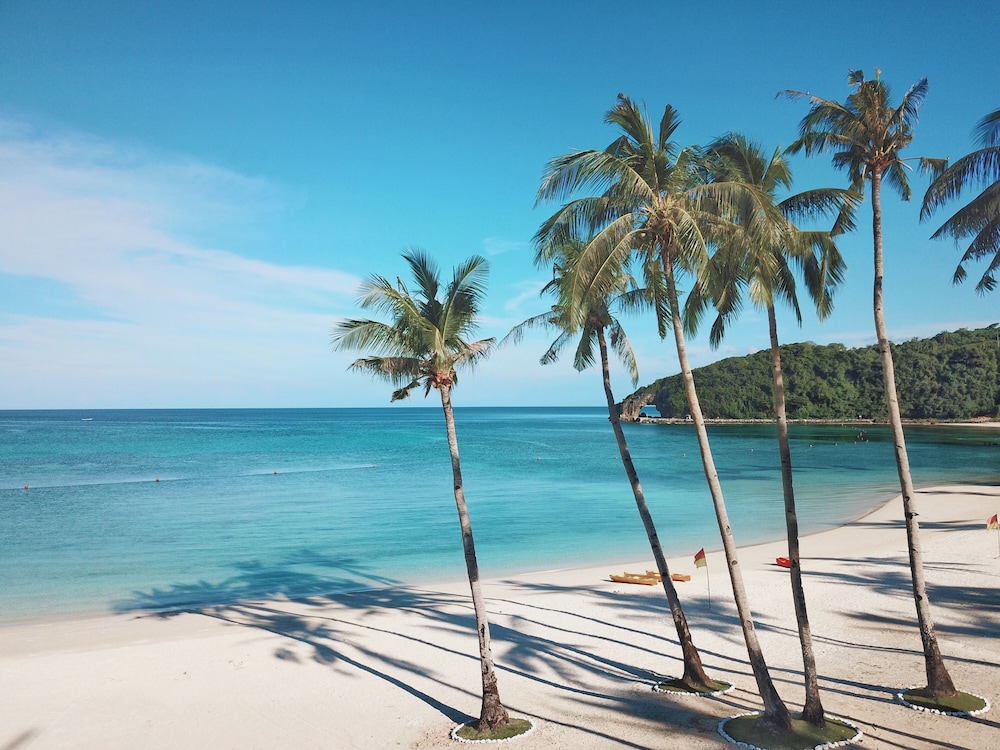 Savoy Hotel Boracay near Newcoast Beach – Savoy Hotel Boracay near Newcoast Beach in PH