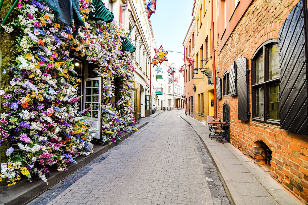 Vilnius Old town apartments – Vilnius Old town apartments in LT