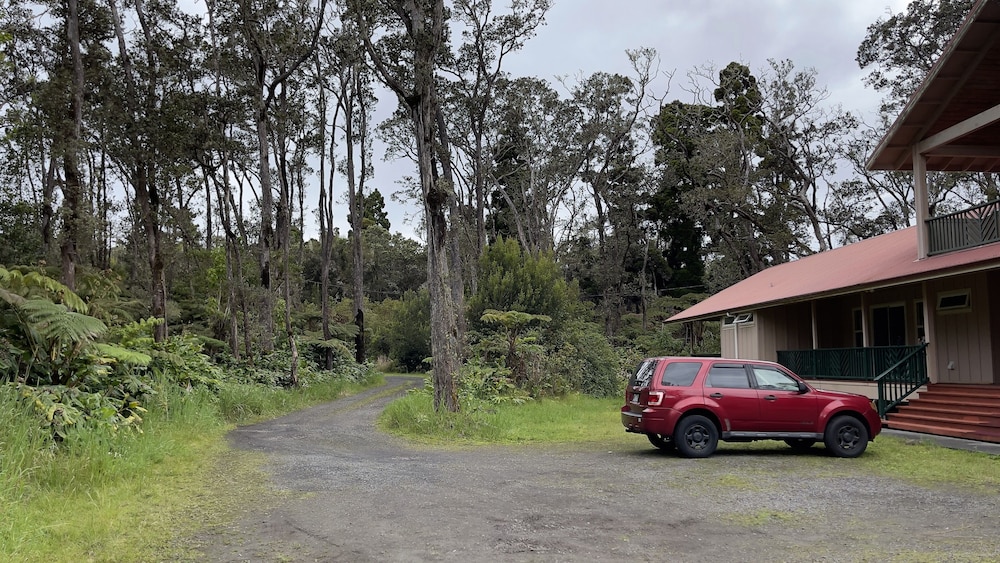 Volcano Forest Inn