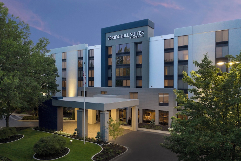 SpringHill Suites by Marriott Atlanta Perimeter Center afbeelding
