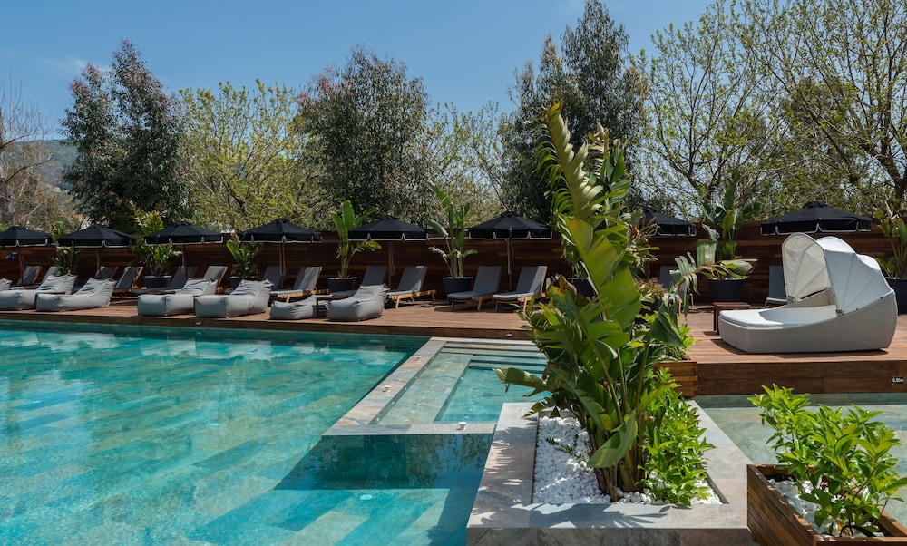 Bitzaro Palace Hotel - All inclusive afbeelding