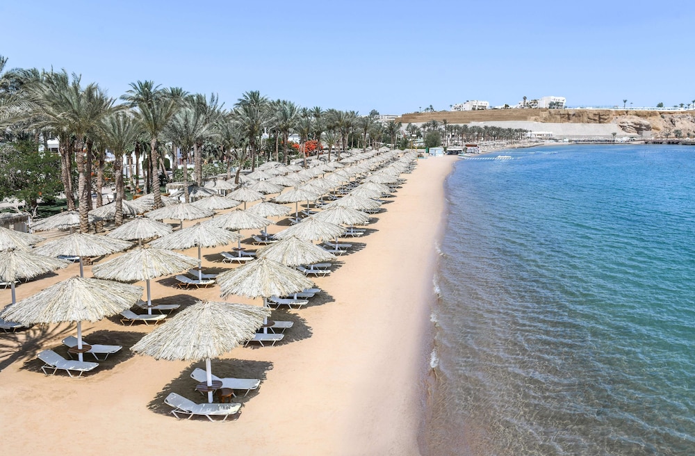 JAZ Elite Palace–Adults Friendly 16 Years Plus
