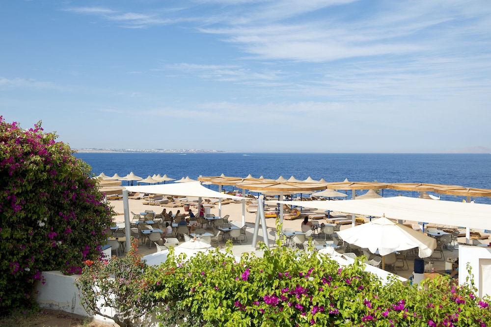 Amphoras Blu Ultra All Inclusive Adults Only