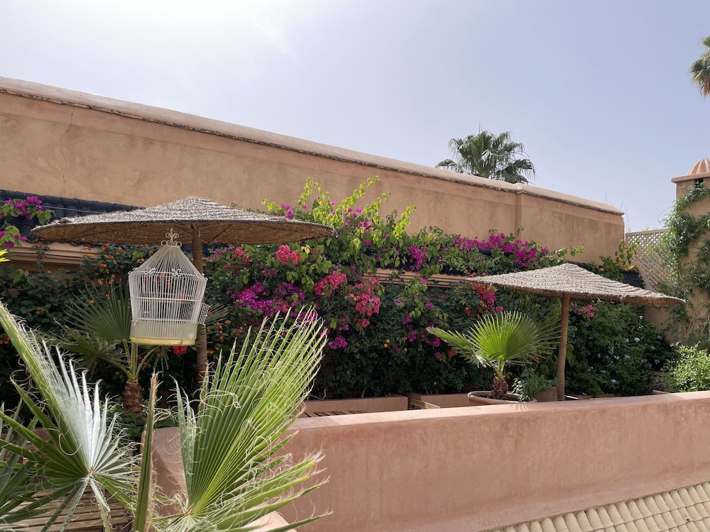 Riad Zouhour
