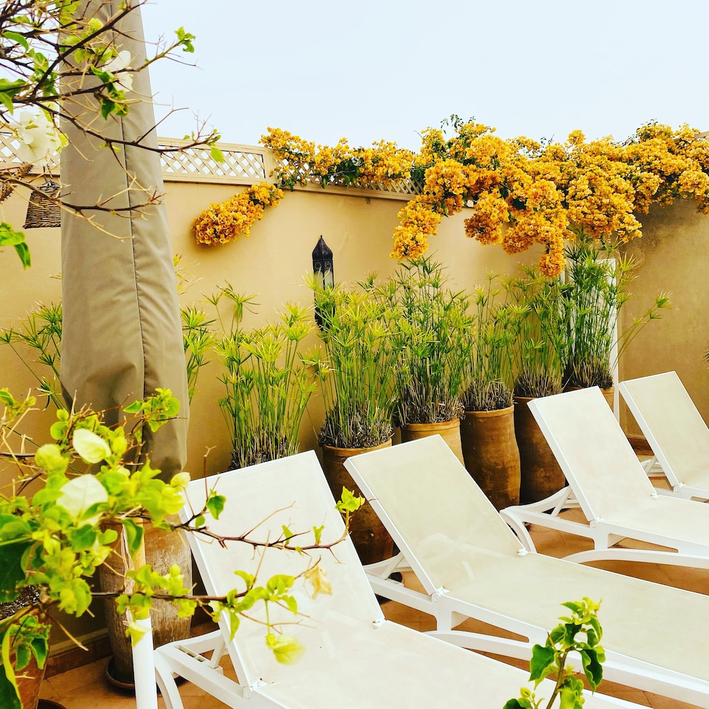 Riad Les Orangers d'Alilia