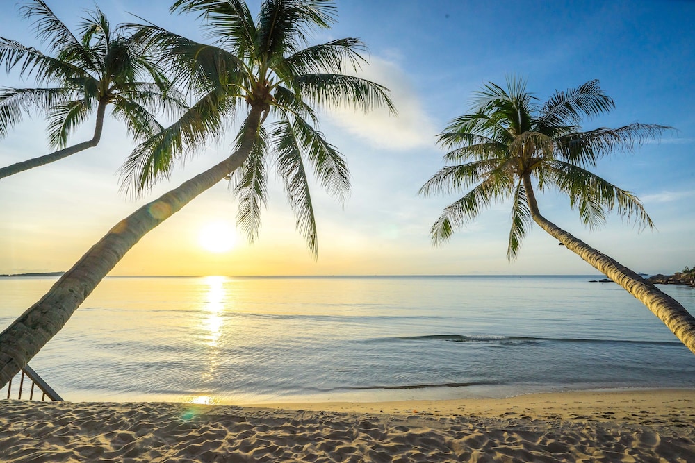 Samui Paradise Chaweng Beach Resort&Spa.