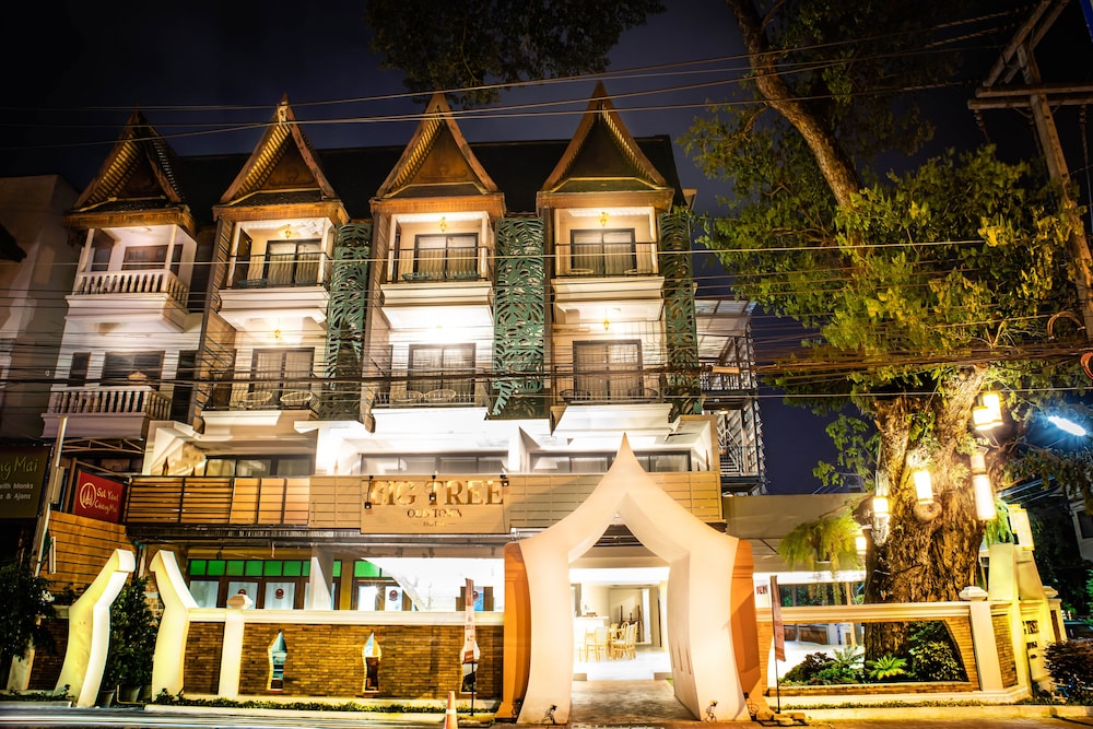 Big Tree Old Town Hotel afbeelding